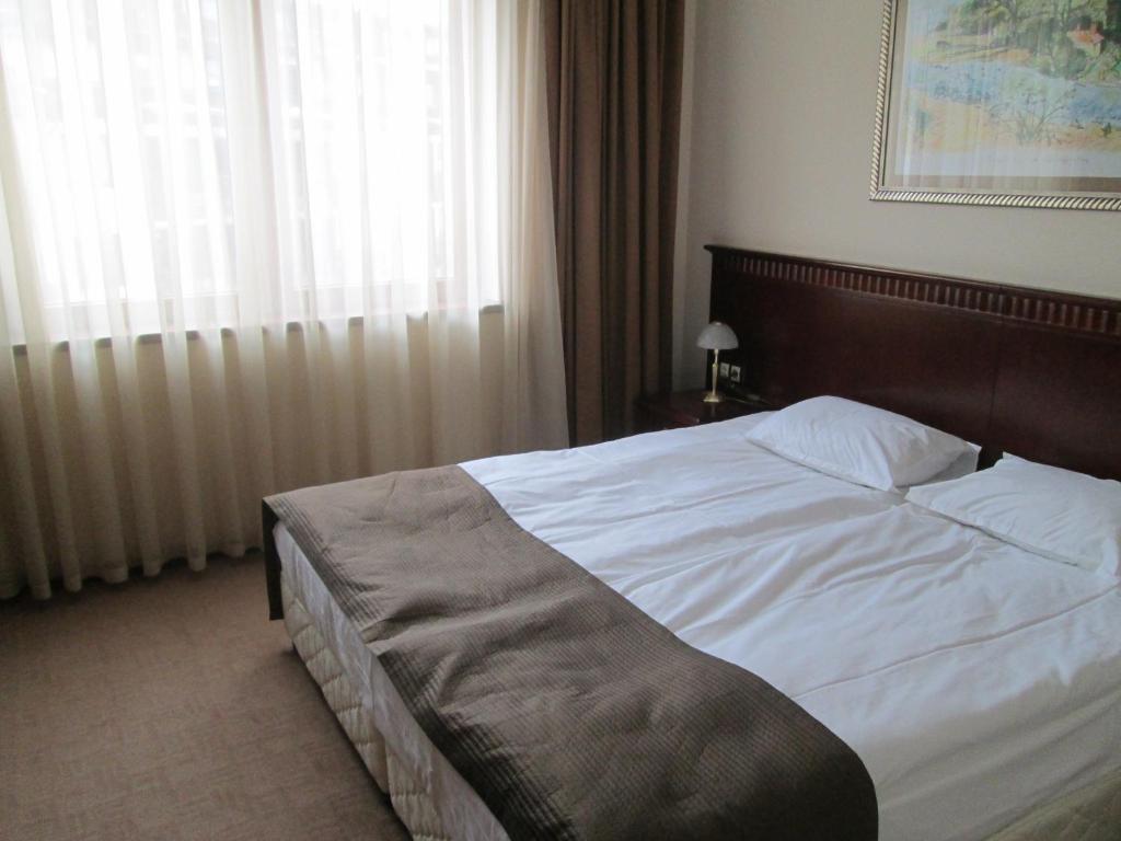 Downtown Alexander Services Apartments Bansko Room photo