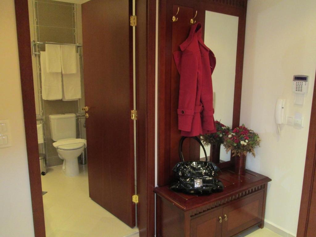 Downtown Alexander Services Apartments Bansko Room photo