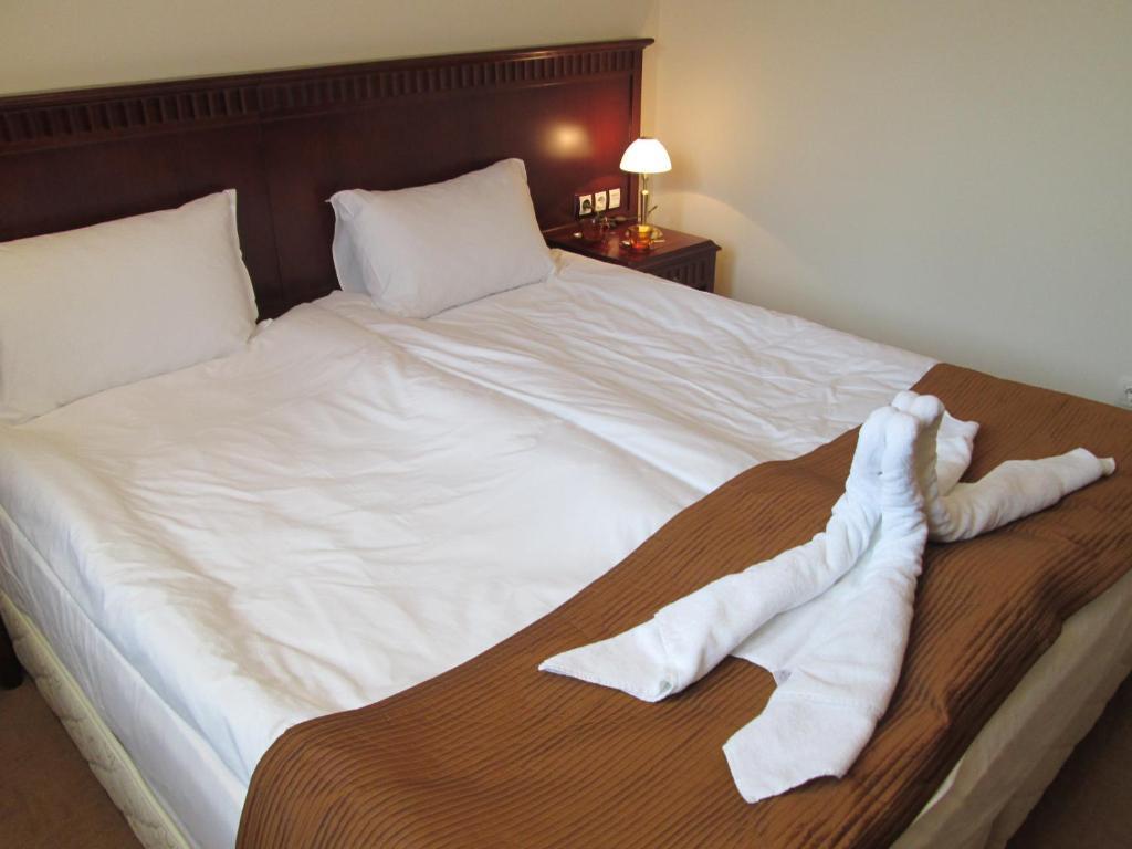 Downtown Alexander Services Apartments Bansko Room photo
